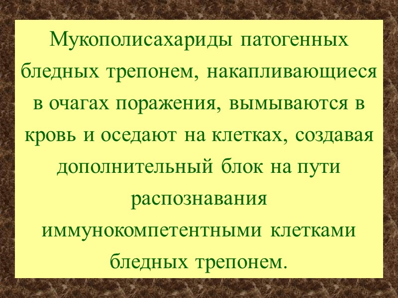 Мукополисахариды патогенных бледных трепонем, накапливающиеся в очагах поражения, вымываются в кровь и оседают на
